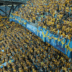 Sverige – Polen 23/6