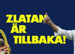 Sveriges trupp till VM-kvalet